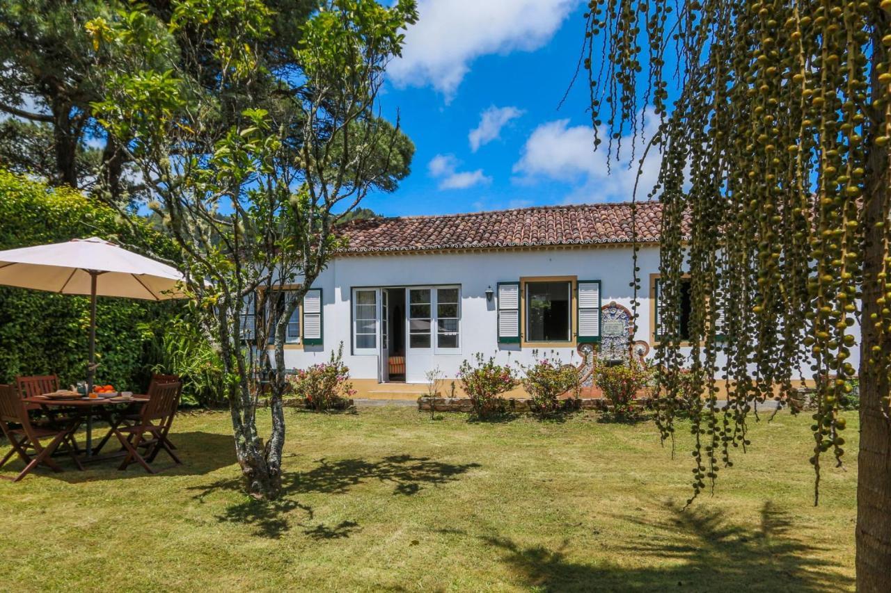 Willa Domus Adepta Charming W Garden Furnas  Zewnętrze zdjęcie